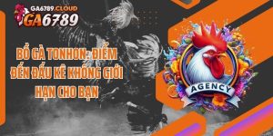 Bồ Gà Tonhon: Điểm Đến Đấu Kê Không Giới Hạn Cho Bạn