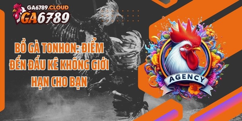 Bồ Gà Tonhon: Điểm Đến Đấu Kê Không Giới Hạn Cho Bạn