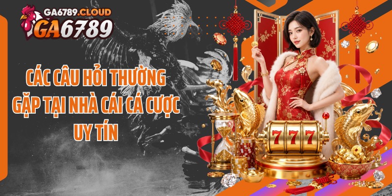 Các câu hỏi thường gặp tại nhà cái cá cược uy tín