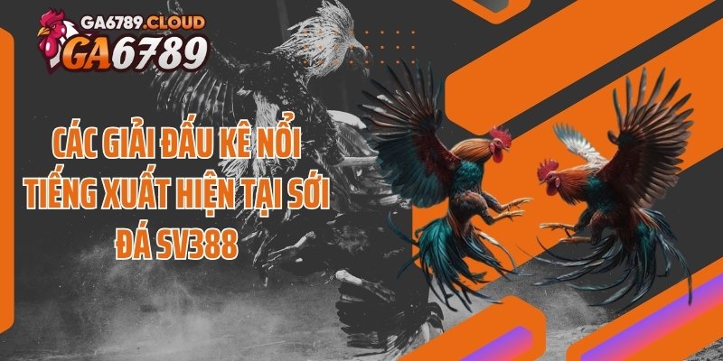Các giải đấu kê nổi tiếng xuất hiện tại sới đá SV388