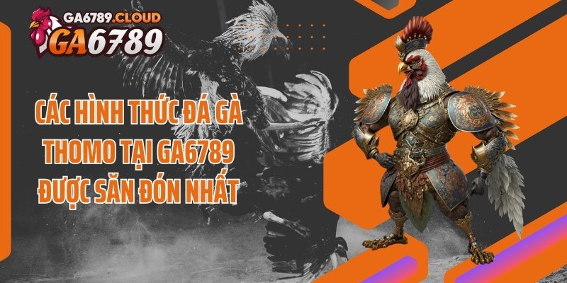 Các hình thức đá gà Thomo tại Ga6789 được săn đón nhất