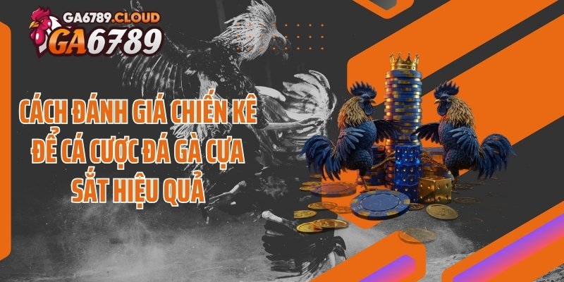 Cách đánh giá chiến kê để cá cược đá gà cựa sắt hiệu quả