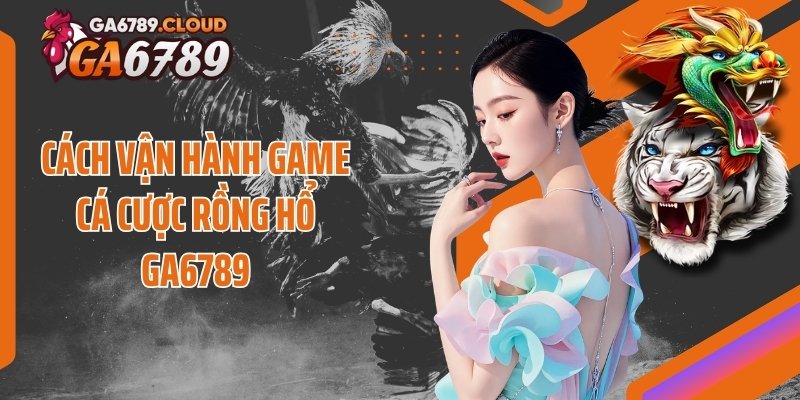 Cách vận hành game cá cược rồng hổ Ga6789