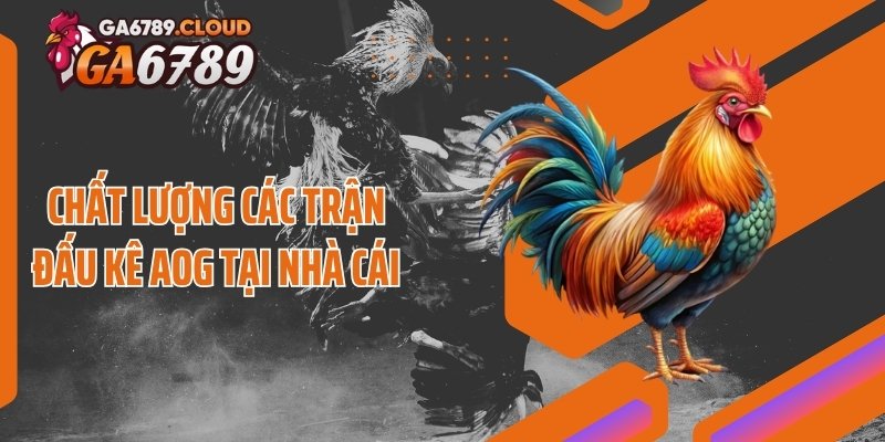 Chất lượng các trận đấu kê AOG tại nhà cái