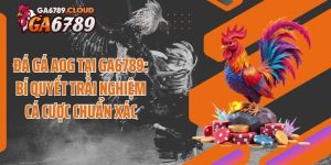 Đá Gá AOG Tại Ga6789: Bí Quyết Trải Nghiệm Cá Cược Chuẩn Xác