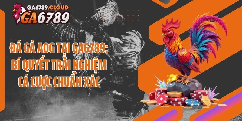 Đá Gá AOG Tại Ga6789: Bí Quyết Trải Nghiệm Cá Cược Chuẩn Xác