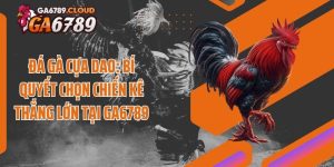 Đá Gà Cựa Dao: Bí Quyết Chọn Chiến Kê Thắng Lớn Tại Ga6789