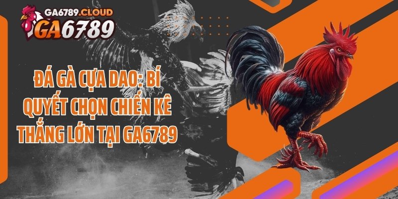 Đá Gà Cựa Dao: Bí Quyết Chọn Chiến Kê Thắng Lớn Tại Ga6789