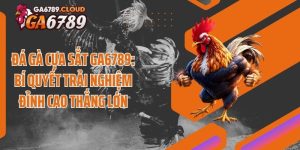 Đá Gà Cựa Sắt Ga6789: Bí Quyết Trải Nghiệm Đỉnh Cao Thắng Lớn