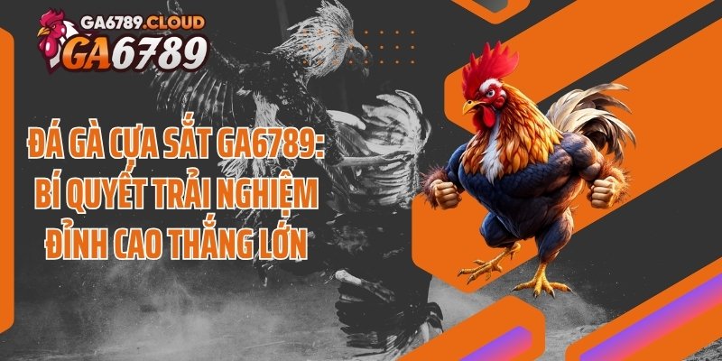Đá Gà Cựa Sắt Ga6789: Bí Quyết Trải Nghiệm Đỉnh Cao Thắng Lớn