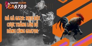 Đá Gà GA28: Mẹo Đặt Cược Thắng Lớn Dễ Dàng Cùng Ga6789