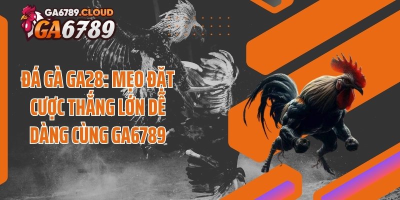 Đá Gà GA28: Mẹo Đặt Cược Thắng Lớn Dễ Dàng Cùng Ga6789