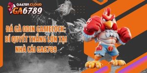 Đá Gà Odin Gamecock: Bí Quyết Thắng Lớn Tại Nhà Cái Ga6789