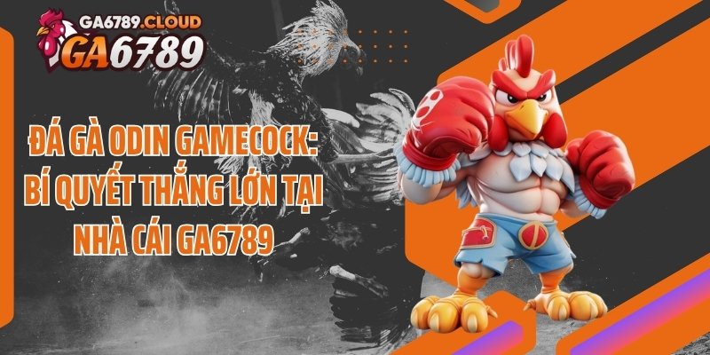 Đá Gà Odin Gamecock: Bí Quyết Thắng Lớn Tại Nhà Cái Ga6789