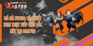 Đá Gà SV388: Bí Quyết Xem Trực Tiếp Siêu Sắc Nét Tại Ga6789