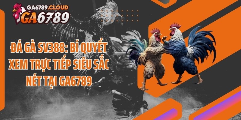 Đá Gà SV388: Bí Quyết Xem Trực Tiếp Siêu Sắc Nét Tại Ga6789