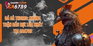 Đá Gà Thomo: Những Trận Đấu Rực Lửa Nhất Tại Ga6789