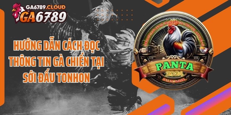 Hướng dẫn cách đọc thông tin gà chiến tại sới đấu Tonhon