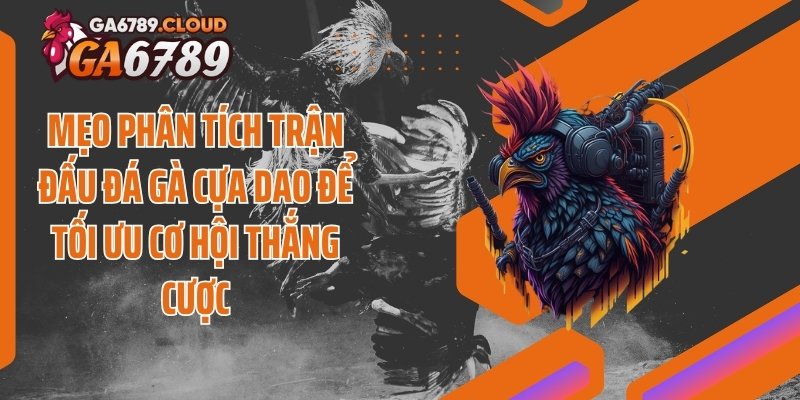 Mẹo phân tích trận đấu đá gà cựa dao để tối ưu cơ hội thắng cược