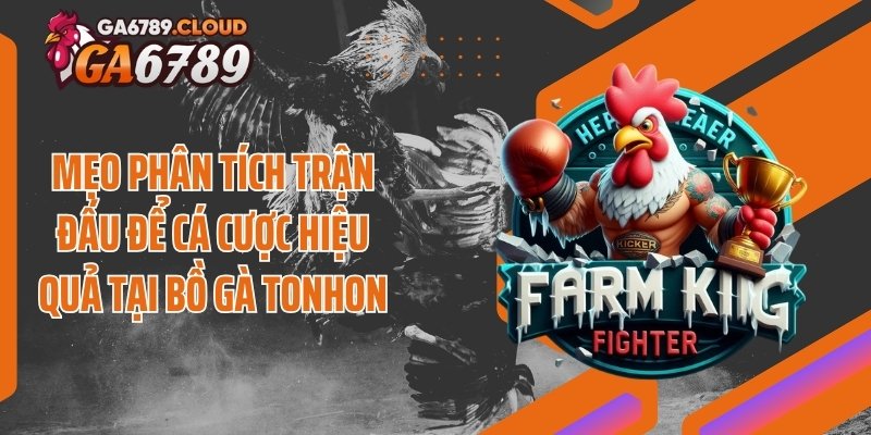 Mẹo phân tích trận đấu để cá cược hiệu quả tại bồ gà Tonhon