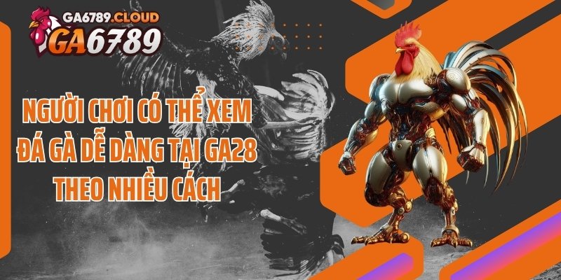 Người chơi có thể xem đá gà dễ dàng tại GA28 theo nhiều cách