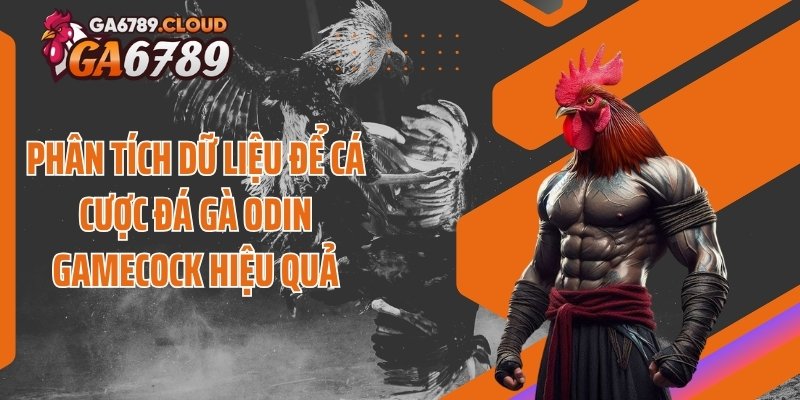Phân tích dữ liệu để cá cược đá gà Odin Gamecock hiệu quả
