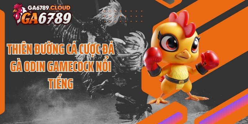Thiên đường cá cược đá gà Odin Gamecock nổi tiếng