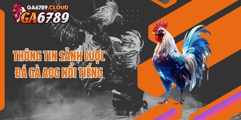 Thông tin sảnh cược đá gà AOG nổi tiếng