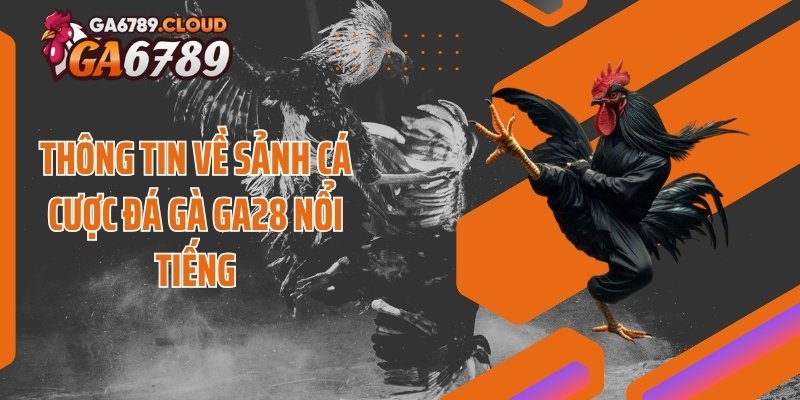 Thông tin về sảnh cá cược đá gà GA28 nổi tiếng