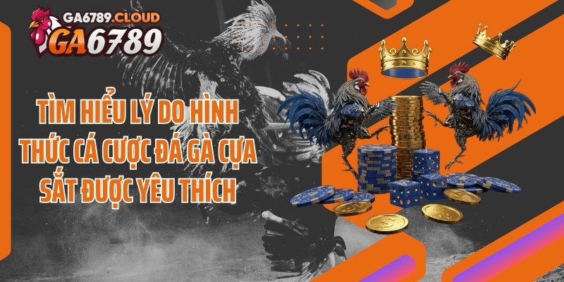 Tìm hiểu lý do hình thức cá cược đá gà cựa sắt được yêu thích