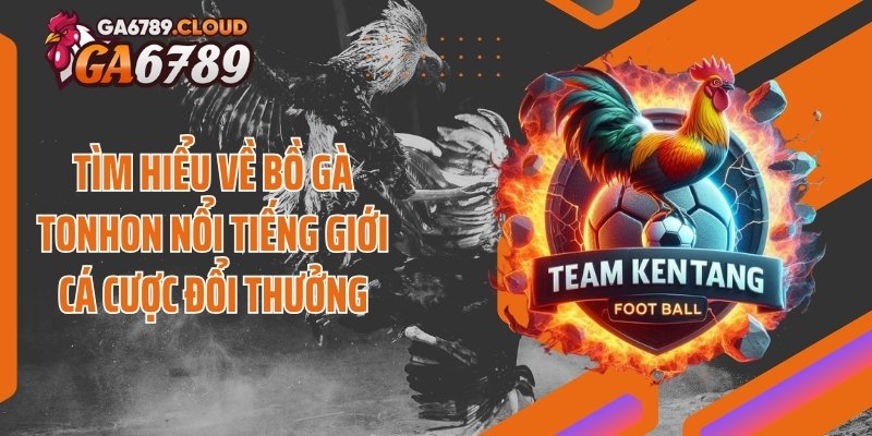 Tìm hiểu về bồ gà Tonhon nổi tiếng giới cá cược đổi thưởng