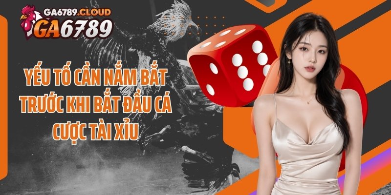 Yếu tố cần nắm bắt trước khi bắt đầu cá cược tài xỉu